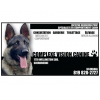 pub_vision-canine.jpg